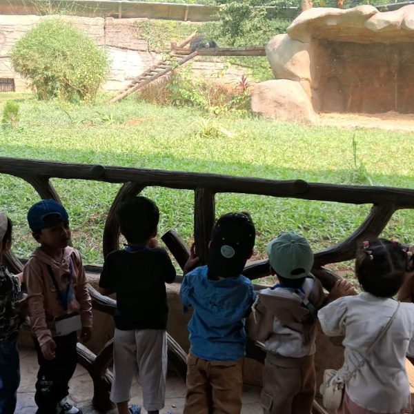 Zoo visit